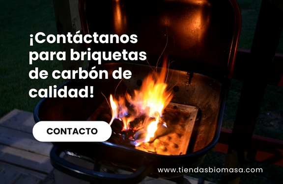 briquetas de carbon de barbacoa