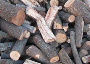 Le&ntilde;a de encina / carrasca