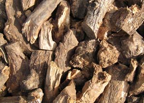 Le&ntilde;a de olivo