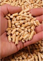 Pellets de madera en una mano